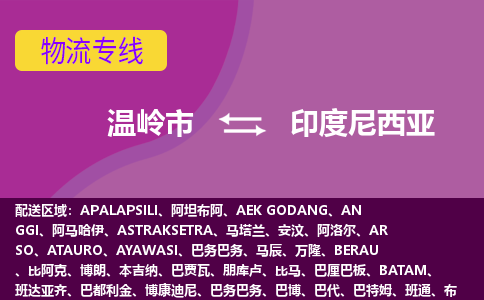 温岭市到印度尼西亚海运，温岭市到印度尼西亚空运公司，温岭市到印度尼西亚物流专线